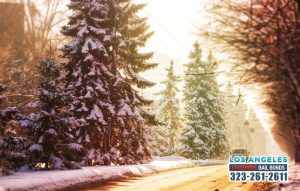 Staying Safe on Winter Roads