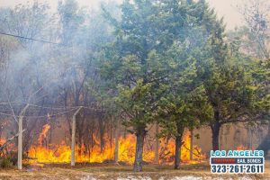 As the Weather Begins to Warm Up Again, Wildfires Become a Real Possibility