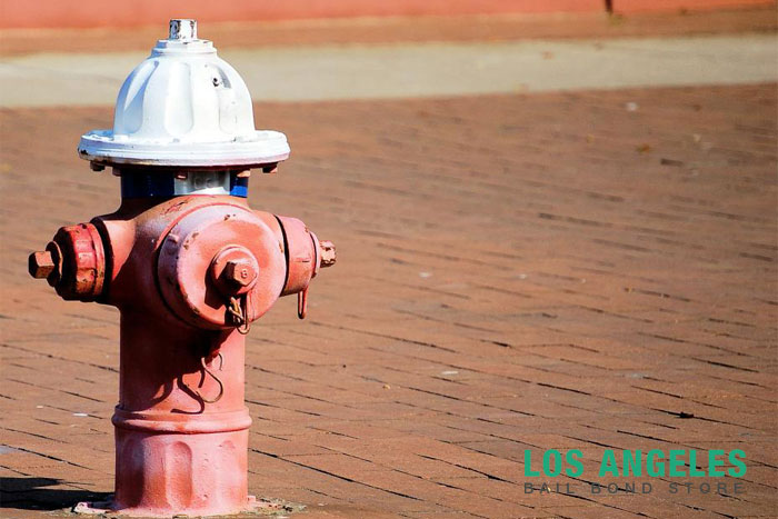 los angeles bail bond store parking in front of a fire hydrant