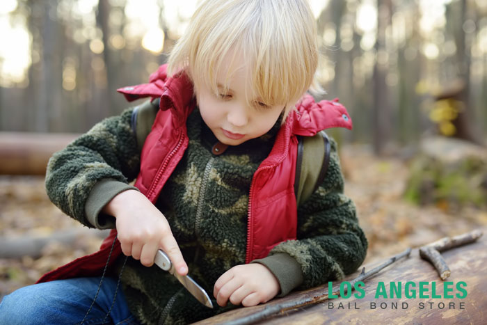 California child endangerment